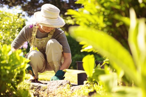 Garden clearance professionals working in Finchley garden