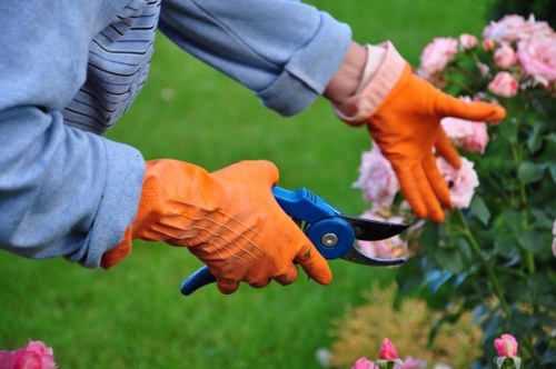 Eco-friendly garden clearance practices in Finchley