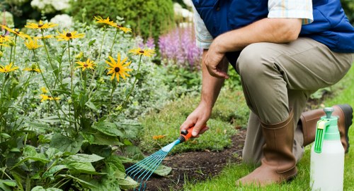 Professional mowing service maintaining a Finchley yard