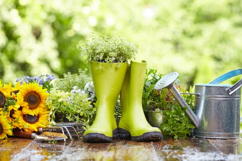 Tree removal process by experts in Finchley
