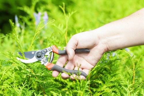Enhancing curb appeal with professional landscaping in Finchley