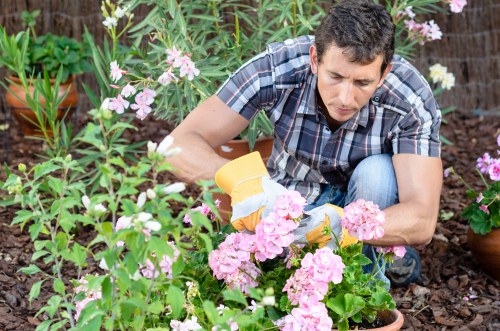 Professional garden design considering Finchley's climate and soil
